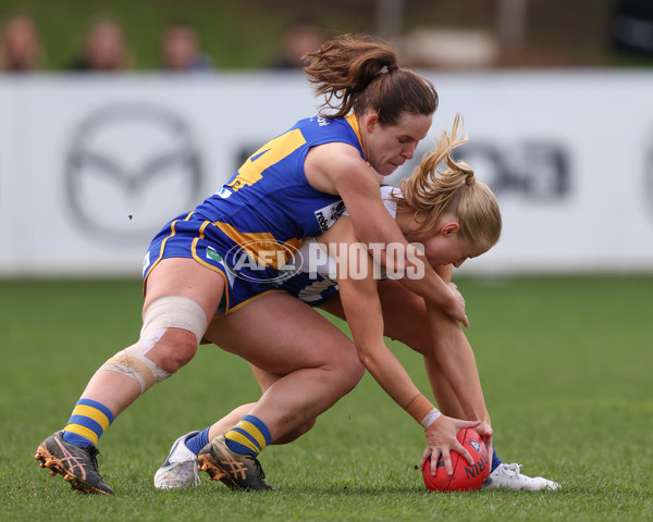 VFL 2025 First Semi Final - North Melbourne Werribee v Williamstown - A-61476215