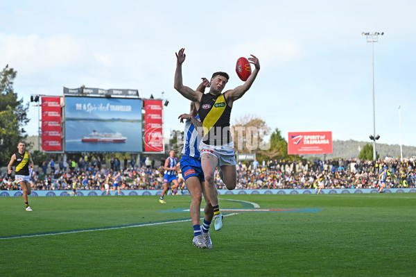 AFL 2025 Round 23 - North Melbourne v Richmond - A-61476261