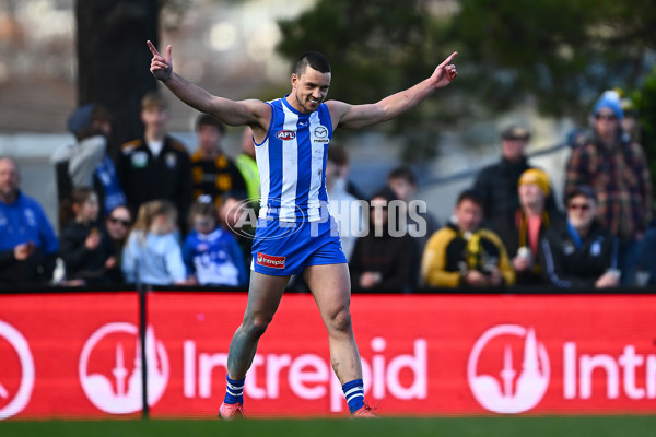AFL 2025 Round 23 - North Melbourne v Richmond - A-61476272