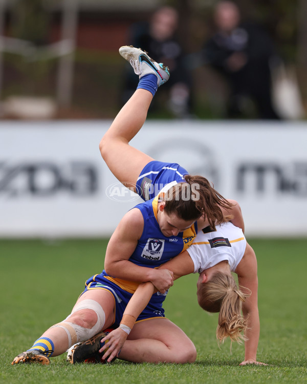 VFL 2025 First Semi Final - North Melbourne Werribee v Williamstown - A-61476998