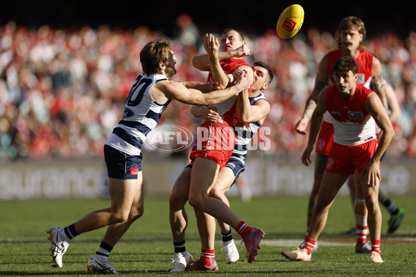 AFL 2025 Round 23 - Sydney v Geelong - A-61479346