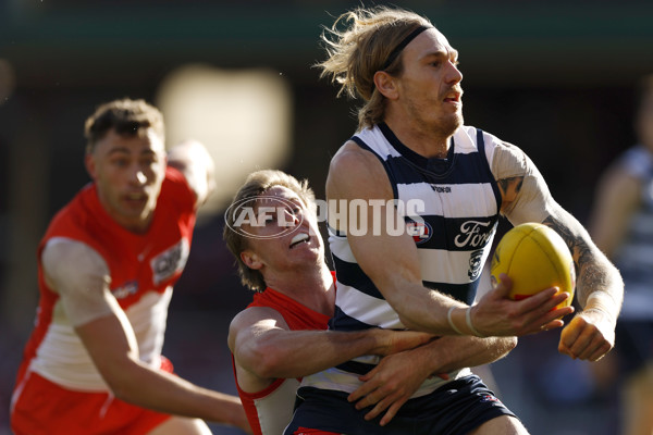 AFL 2025 Round 23 - Sydney v Geelong - A-61479349