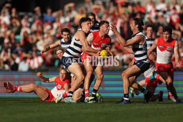 AFL 2025 Round 23 - Sydney v Geelong - A-61479385