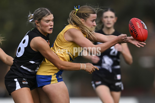 Coates League Girls 2025 Round 17 - Northern Knights v Western Jets - A-61479392