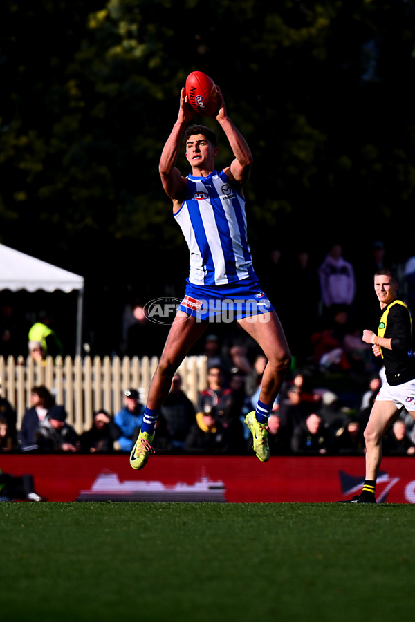 AFL 2025 Round 23 - North Melbourne v Richmond - A-61479924