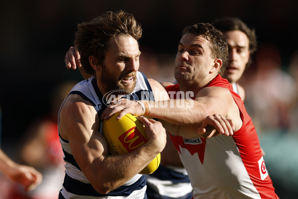 AFL 2025 Round 23 - Sydney v Geelong - A-61479925