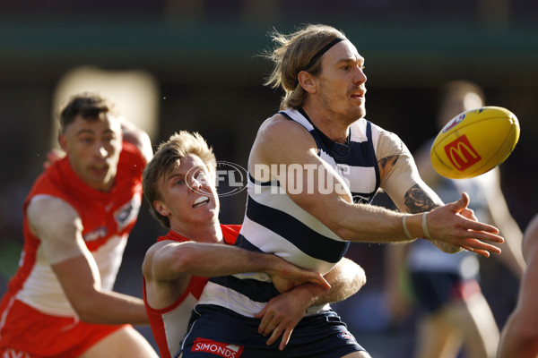 AFL 2025 Round 23 - Sydney v Geelong - A-61479932
