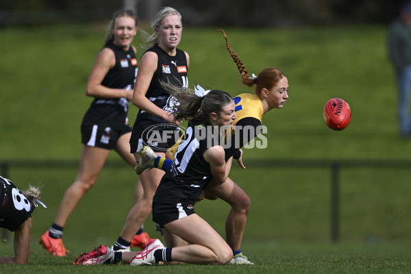 Coates League Girls 2025 Round 17 - Northern Knights v Western Jets - A-61479963
