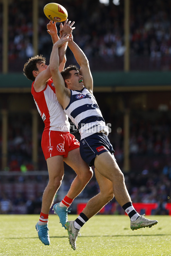 AFL 2025 Round 23 - Sydney v Geelong - A-61482863