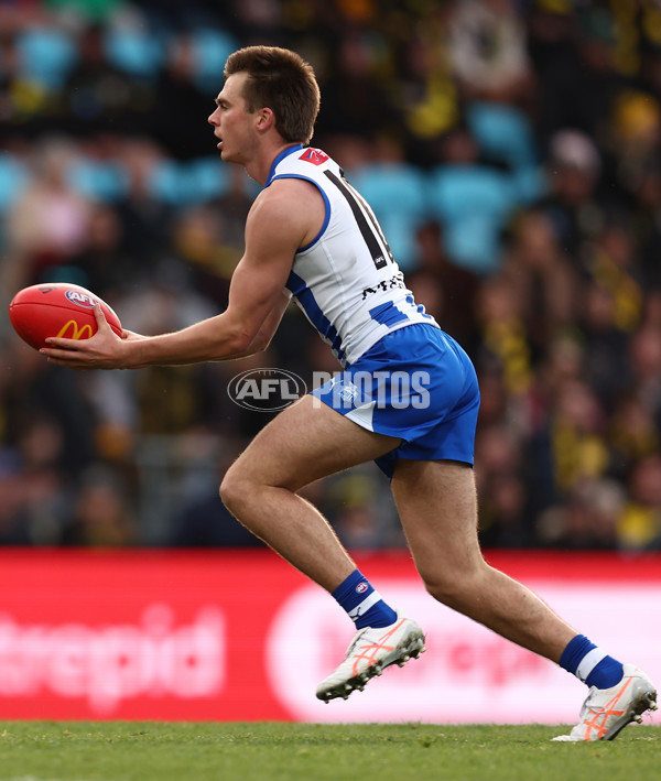 AFL 2025 Round 23 - North Melbourne v Richmond - A-61485099