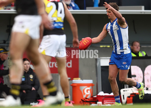 AFL 2025 Round 23 - North Melbourne v Richmond - A-61485100