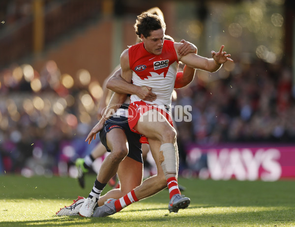 AFL 2025 Round 23 - Sydney v Geelong - A-61485131