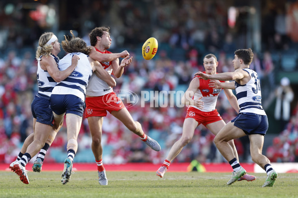 AFL 2025 Round 23 - Sydney v Geelong - A-61485142