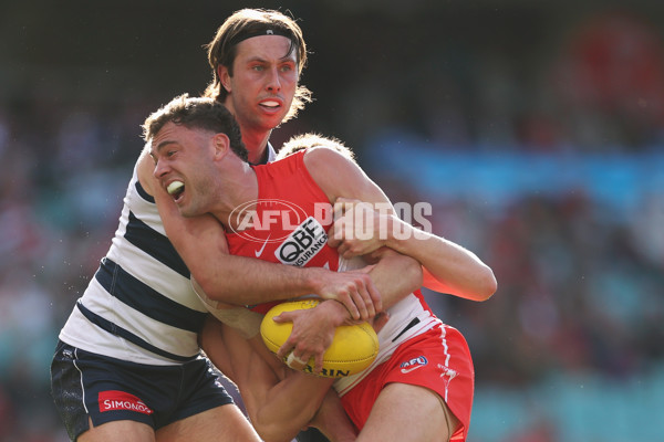 AFL 2025 Round 23 - Sydney v Geelong - A-61485150