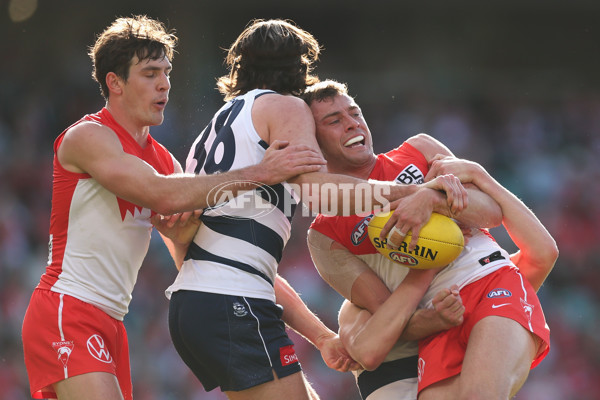 AFL 2025 Round 23 - Sydney v Geelong - A-61485151