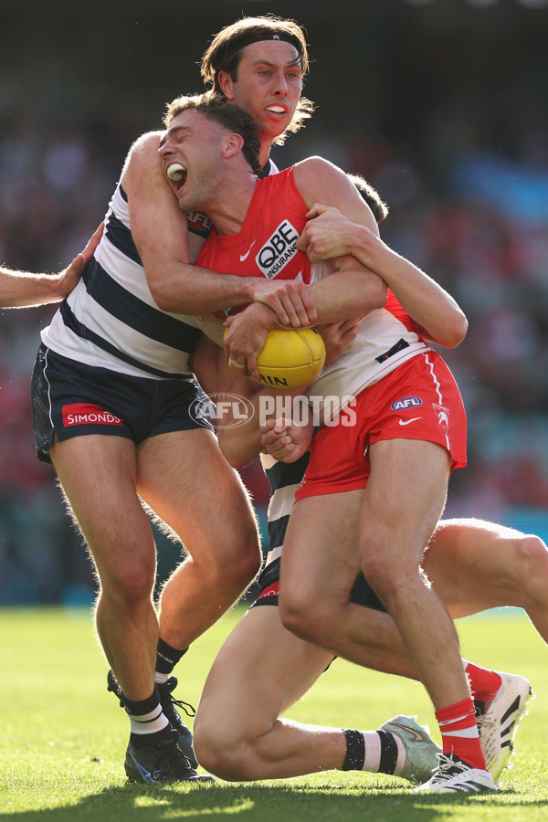 AFL 2025 Round 23 - Sydney v Geelong - A-61485152