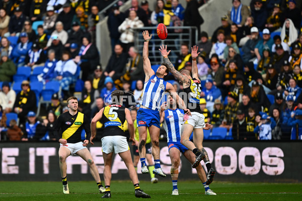 AFL 2025 Round 23 - North Melbourne v Richmond - A-61485161