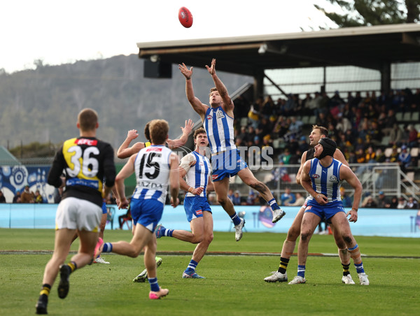 AFL 2025 Round 23 - North Melbourne v Richmond - A-61485676