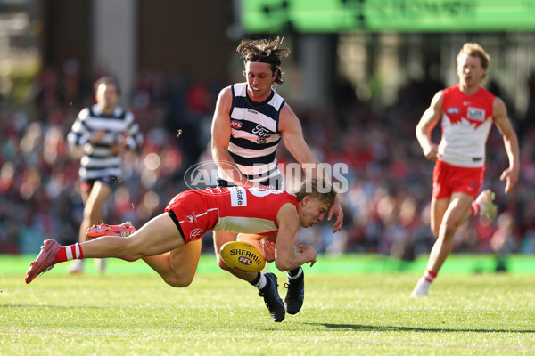 AFL 2025 Round 23 - Sydney v Geelong - A-61485707