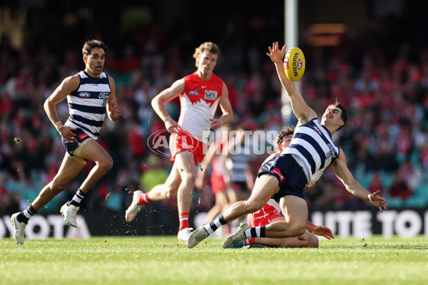 AFL 2025 Round 23 - Sydney v Geelong - A-61485713