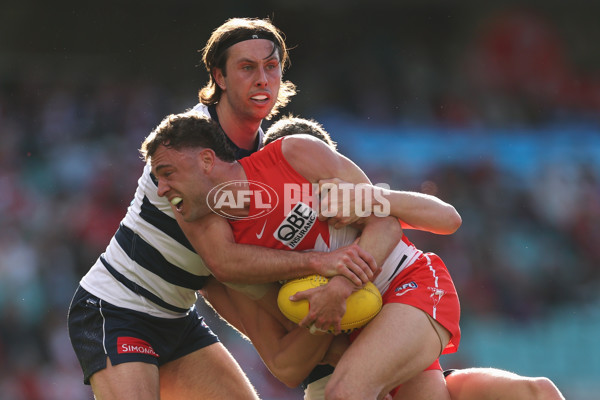 AFL 2025 Round 23 - Sydney v Geelong - A-61485735