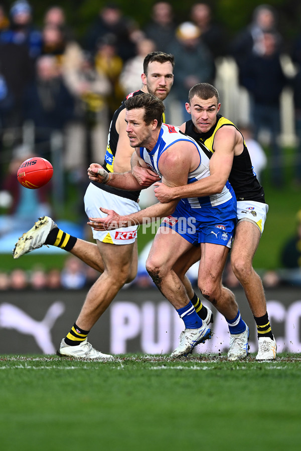 AFL 2025 Round 23 - North Melbourne v Richmond - A-61485740