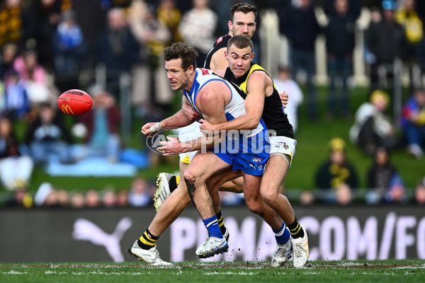 AFL 2025 Round 23 - North Melbourne v Richmond - A-61485741