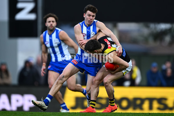 AFL 2025 Round 23 - North Melbourne v Richmond - A-61485754