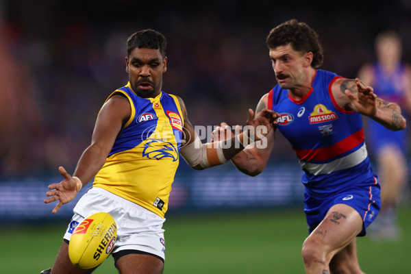 AFL 2025 Round 23 - Western Bulldogs v West Coast - A-61487611