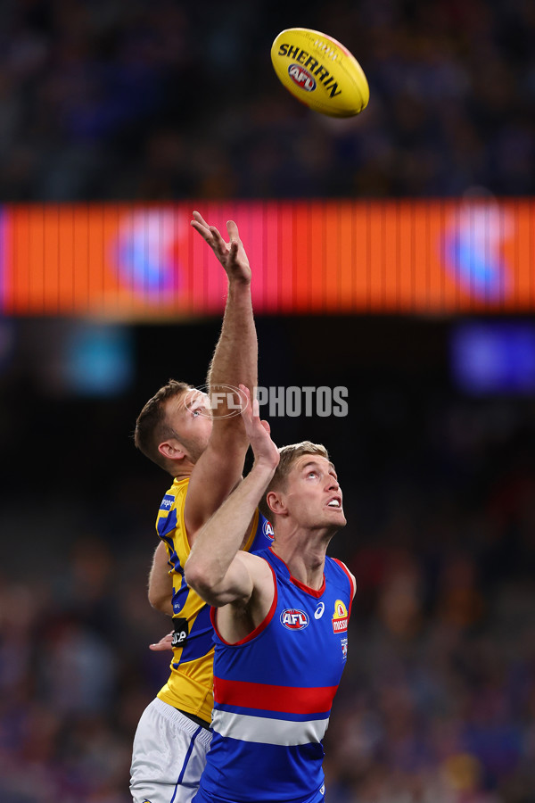 AFL 2025 Round 23 - Western Bulldogs v West Coast - A-61487618