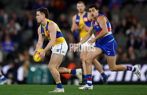 AFL 2025 Round 23 - Western Bulldogs v West Coast - A-61487664
