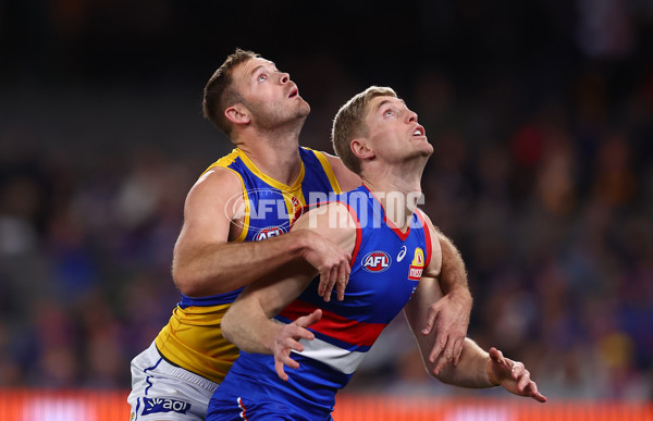 AFL 2025 Round 23 - Western Bulldogs v West Coast - A-61488402