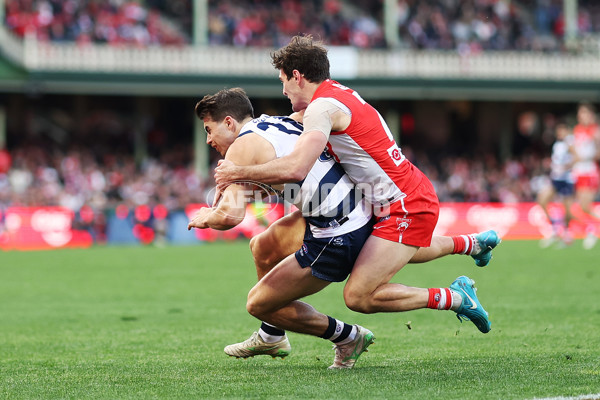 AFL 2025 Round 23 - Sydney v Geelong - A-61488453
