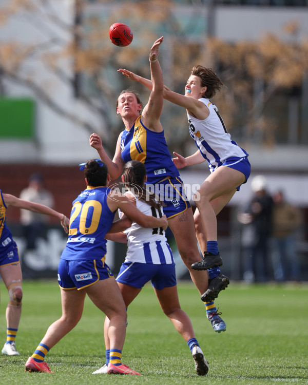 VFL 2025 First Semi Final - North Melbourne Werribee v Williamstown - A-61488480