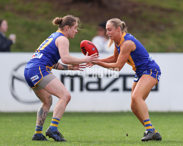 VFL 2025 First Semi Final - North Melbourne Werribee v Williamstown - A-61488485