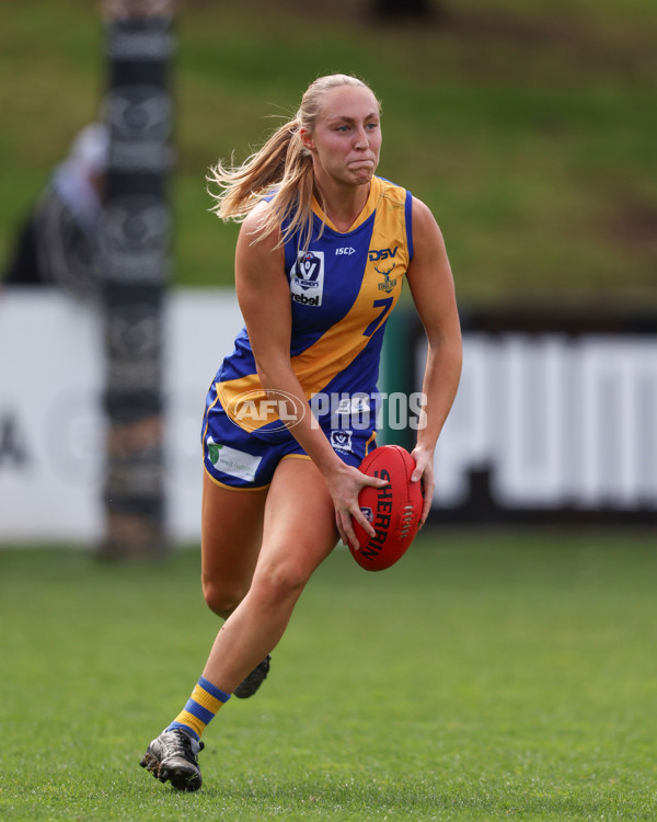 VFL 2025 First Semi Final - North Melbourne Werribee v Williamstown - A-61490634