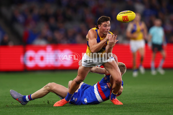 AFL 2025 Round 23 - Western Bulldogs v West Coast - A-61490651