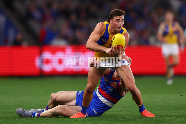 AFL 2025 Round 23 - Western Bulldogs v West Coast - A-61490652