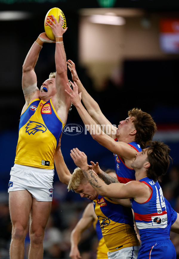 AFL 2025 Round 23 - Western Bulldogs v West Coast - A-61490710