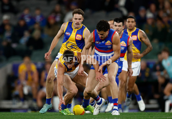 AFL 2025 Round 23 - Western Bulldogs v West Coast - A-61490717
