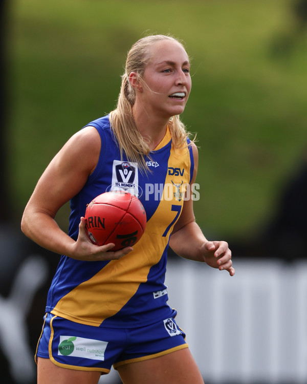 VFL 2025 First Semi Final - North Melbourne Werribee v Williamstown - A-61490834