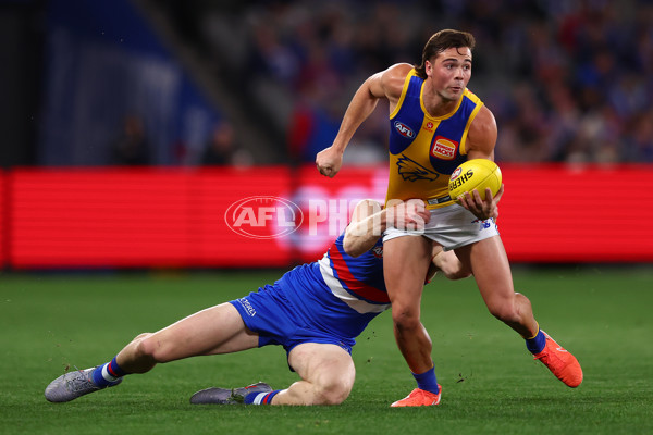 AFL 2025 Round 23 - Western Bulldogs v West Coast - A-61490851
