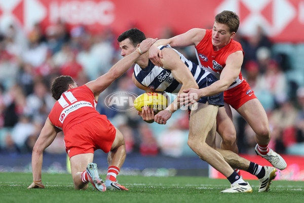 AFL 2025 Round 23 - Sydney v Geelong - A-61490911