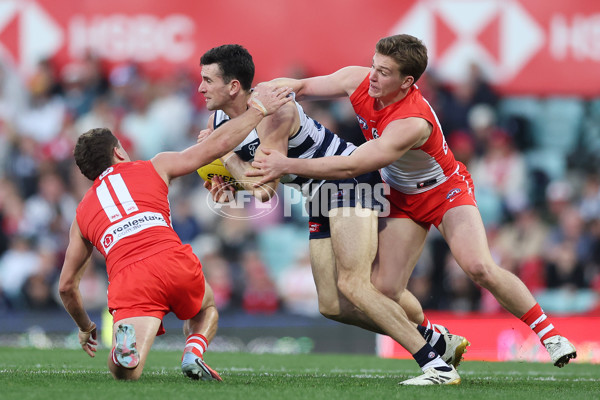 AFL 2025 Round 23 - Sydney v Geelong - A-61493246