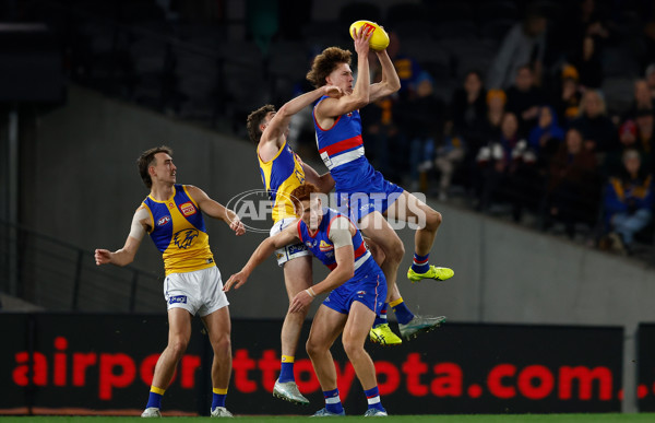 AFL 2025 Round 23 - Western Bulldogs v West Coast - A-61493284