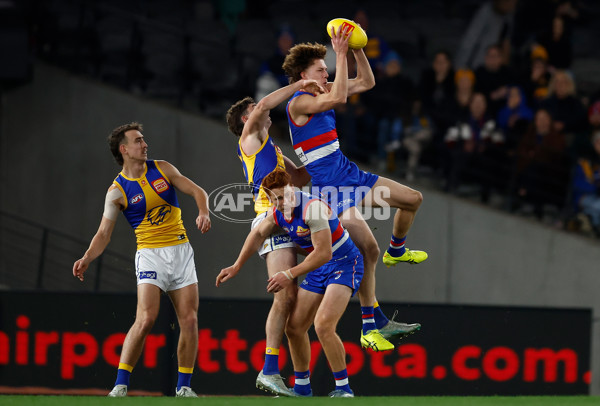 AFL 2025 Round 23 - Western Bulldogs v West Coast - A-61493313