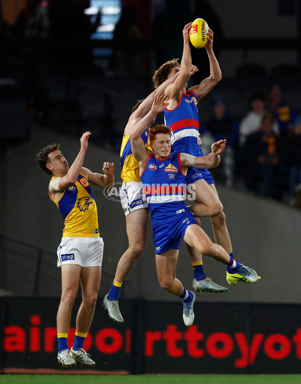 AFL 2025 Round 23 - Western Bulldogs v West Coast - A-61493762