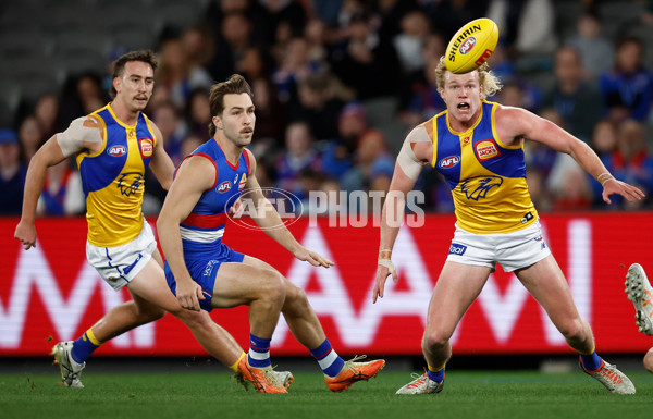 AFL 2025 Round 23 - Western Bulldogs v West Coast - A-61493763