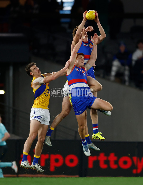 AFL 2025 Round 23 - Western Bulldogs v West Coast - A-61493765