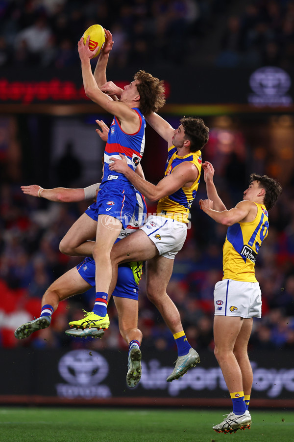 AFL 2025 Round 23 - Western Bulldogs v West Coast - A-61493768